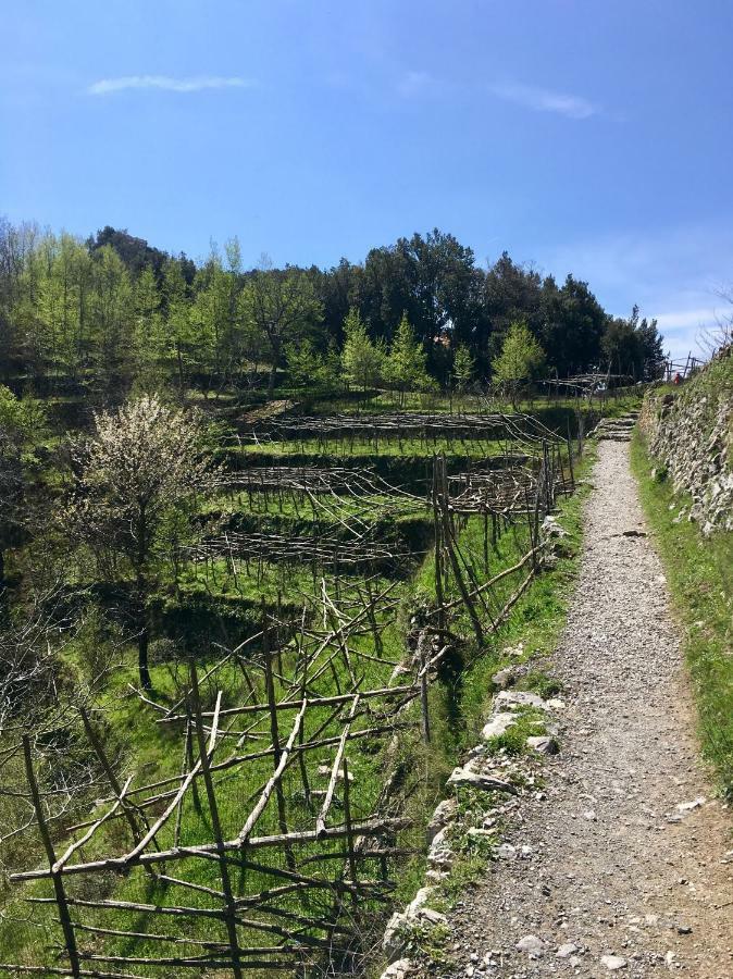 La Libraia Διαμέρισμα Agerola Εξωτερικό φωτογραφία